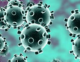 Is a Coronavirus Vaccine On the Horizon?