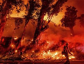 West Coast Wildfires Rage On