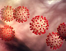 U.S. Hits 8 Million Coronavirus Cases