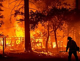 Trump, Tucker, and Wildfires: Media Focusing on Completely Different Stories