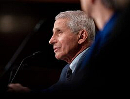 Fauci Under Fire Over Gain-of-Function, Animal Research