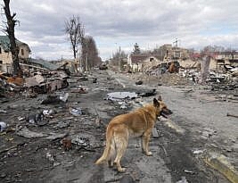 Russian War Crimes in Ukraine Spark International Outrage